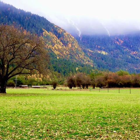 川藏行——11.1～11.20                 （四）