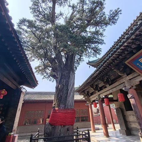 走进关庙深处：常平春日的忠义回响