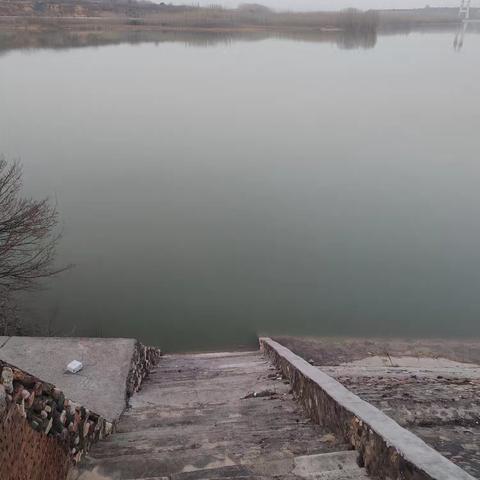 会兴古渡春行记：黄河涛声未远，石阶犹带唐宋风