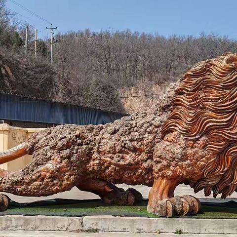 黄河畔的猛兽幻影：途中突遇一只狮子一只老虎