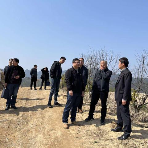 省农业“双强”工作专班协调组魏绍林副处长一行调研金华农事服务中心项目建设