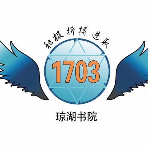 沅江市琼湖书院初1703班毕业季