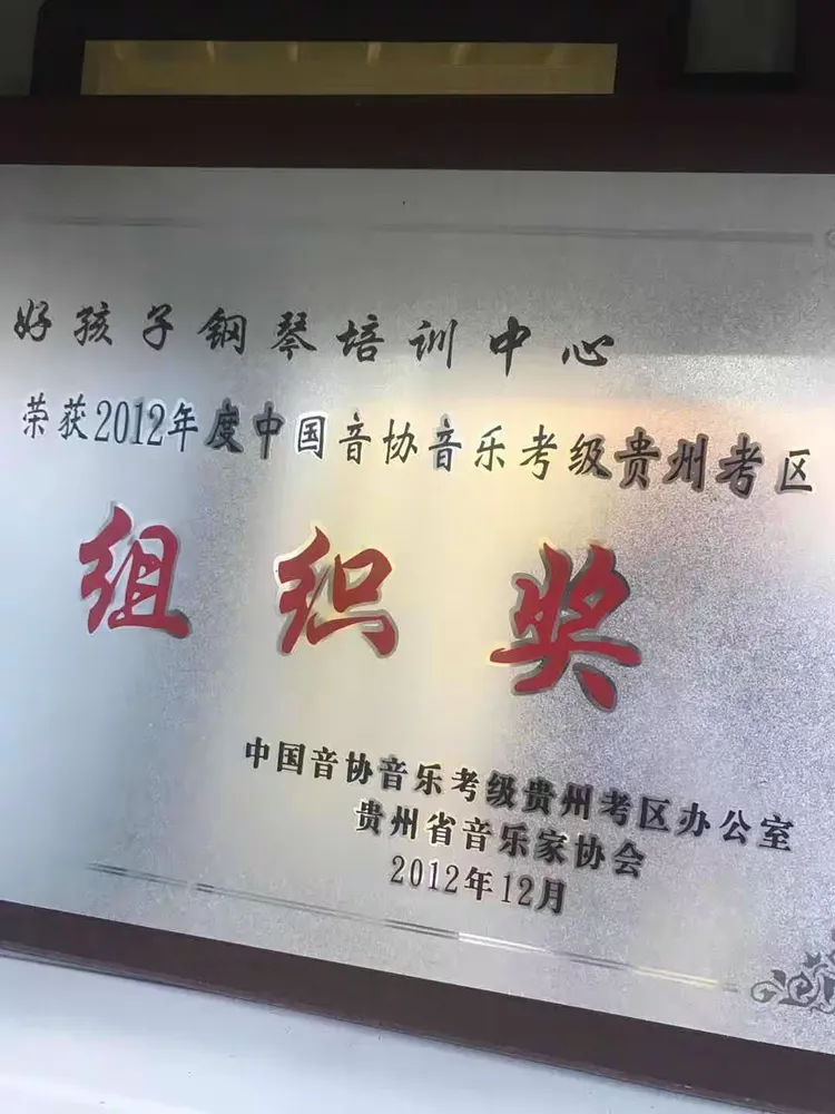 琴行荣誉好孩子琴行学生比赛风采!
