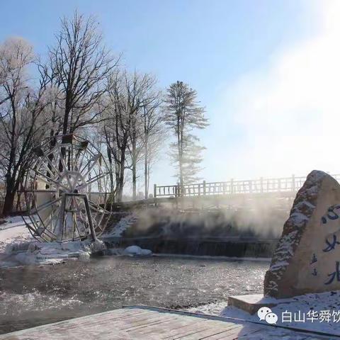 来自原始森林的味道━━7°冰泉