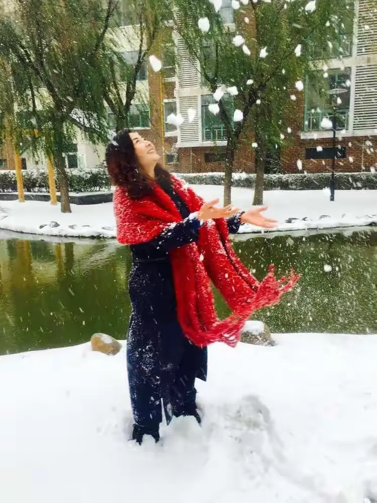 雪中情，已婚女人梦中与情人共舞的隐喻解析