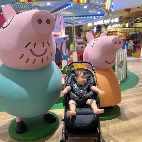 乐乐🐯成长记录（11）