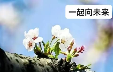 线上谋良策，携手提实效——周村区初中生物学科学业年级线上教学研讨会