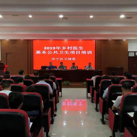 洛宁县2019年基本公卫项目培训妇幼保健专场