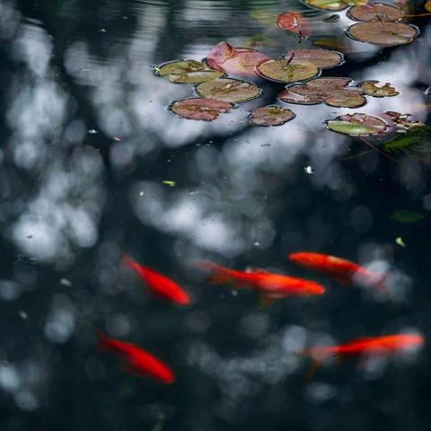 长安十二时辰之白娘子