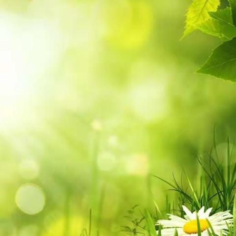 长安十二时辰之幻梦