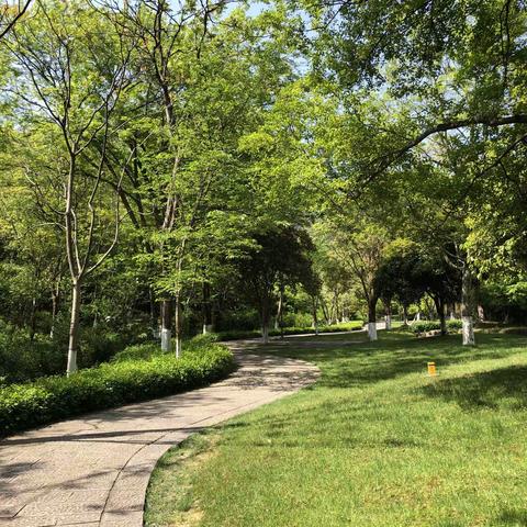 阳明洞天步行道