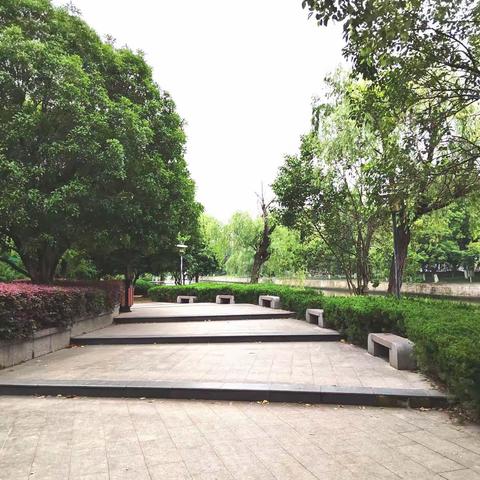 可能手机被“监听”了