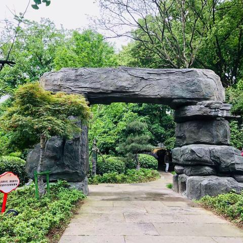 家里来了新成员