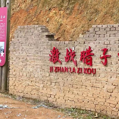 绍兴棠棣村最美乡村