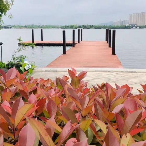 不容忽视的问题颈椎（2）等级