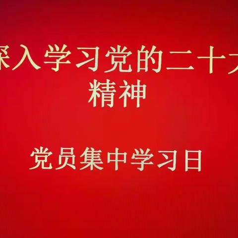 深入学习二十大精神，党员集中学习日侧影