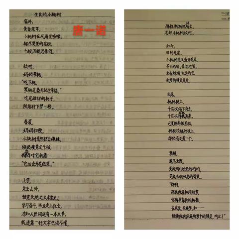 《一棵小桃树》以诗促写，学生优秀诗歌作品展示