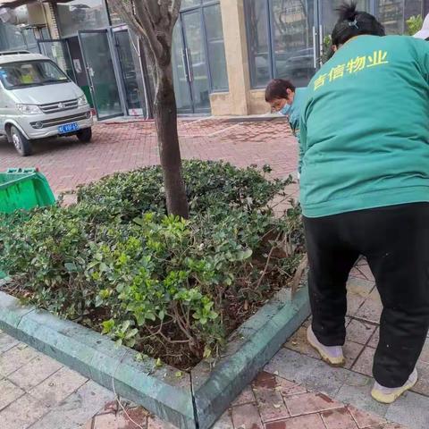 4月7日龙安区文明大道街道办事处龙腾社区城市清洁行动