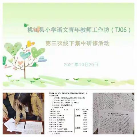 共享交流齐聚力 勤教善研促发展——桃江县小学语文青年教师工作坊第三次线下研修活动