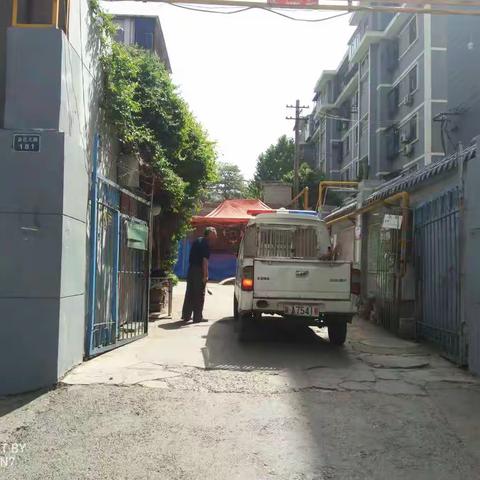 新城区限制养犬管理办公室处理群众举报
