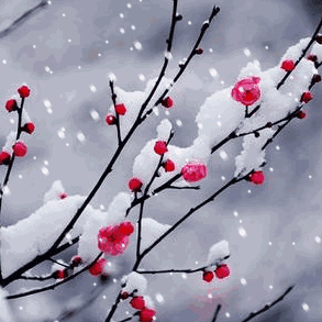 高三，我们青春无悔——二连一中高三年级语、数、外学业水平考试动员大会