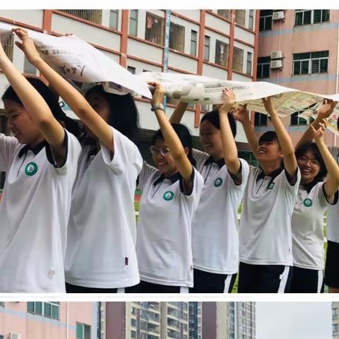以智慧破局，以坚毅前行