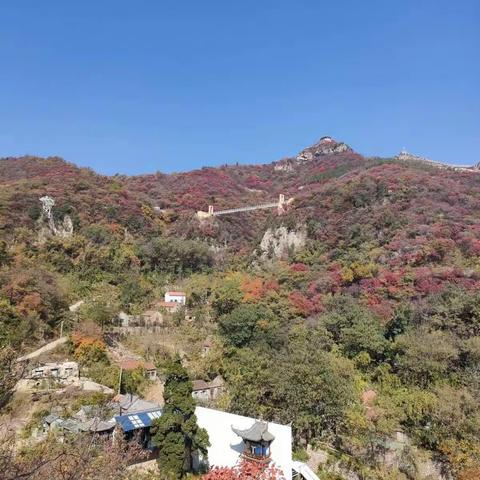 再游红叶柿岩