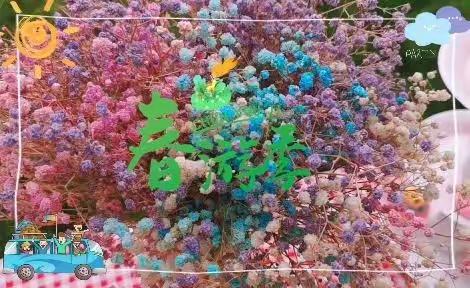 “你好!春天!一起去郊游”～静苑铝都实验幼儿园菠萝班