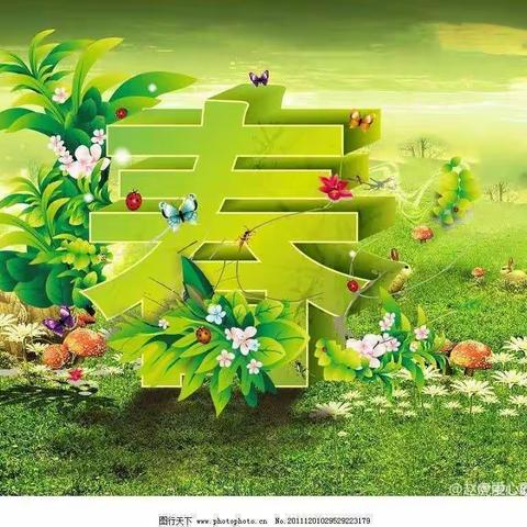 红晨湖实验幼儿园预防夏季传染病美篇