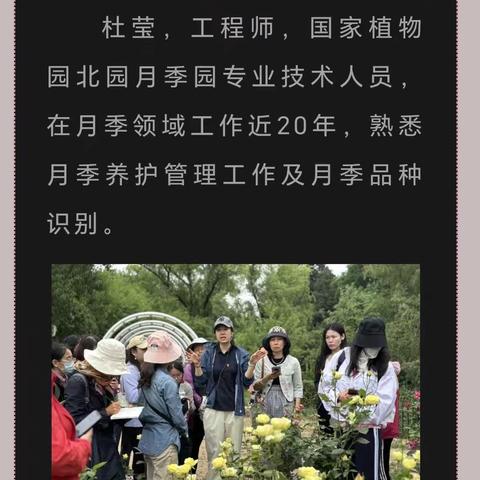 专家带您识花草--月季专场