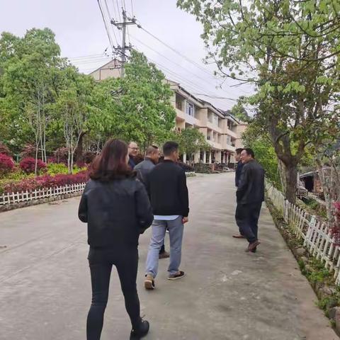 高桥镇领导到上里村调研