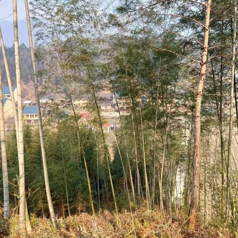 山水依旧，村落变脸；时月流失，风貌渐新！