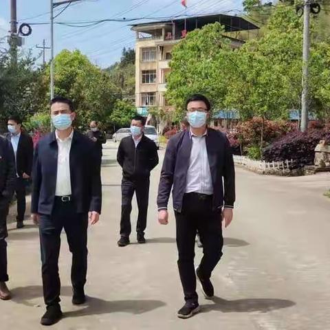 沙县区陈晓朔区长到上里村调研