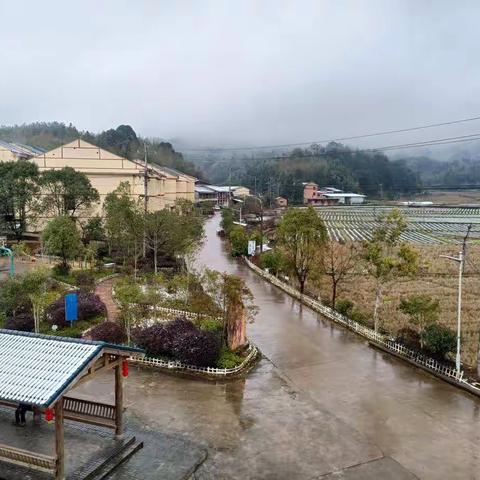 十年未见的瑞雪！