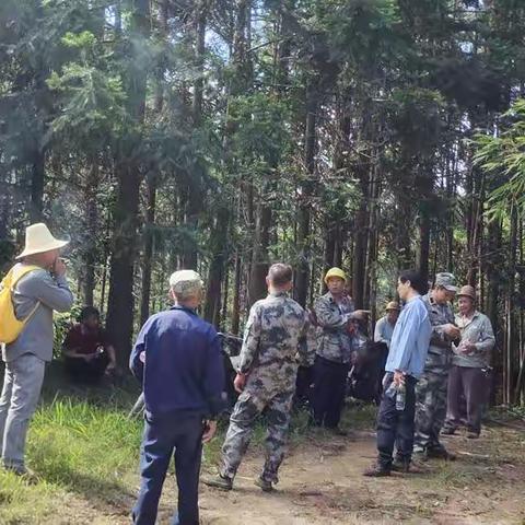 上里村村民代表上毛竹山评估对外招标底价