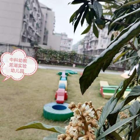 中科幼教芜湖实验幼儿园小小班十一月美篇