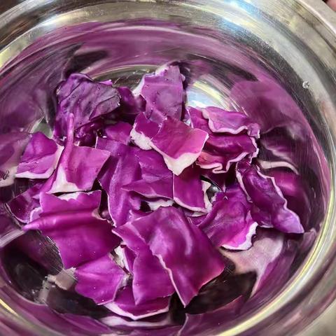 紫甘蓝溶液在不同溶液中的变色实验 董衍满