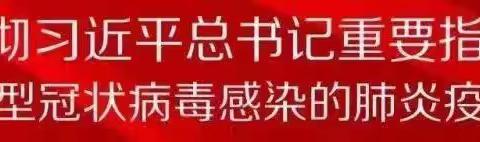 党旗飘扬在抗疫一线——张营村党支部抗疫纪实