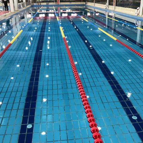 游起来！动起来！美起来！