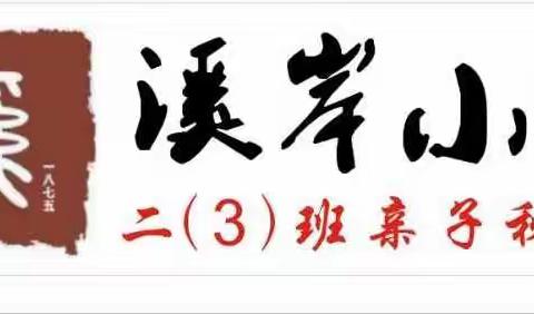 溪岸小学二（3）班体验农田乐趣   收获丰收喜悦亲子活动