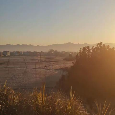 车窗外的风景