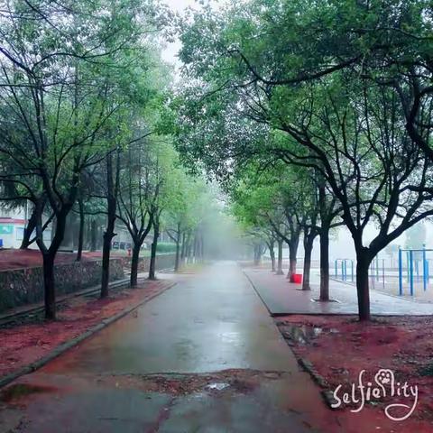 珠帘～秋日雨后七中
