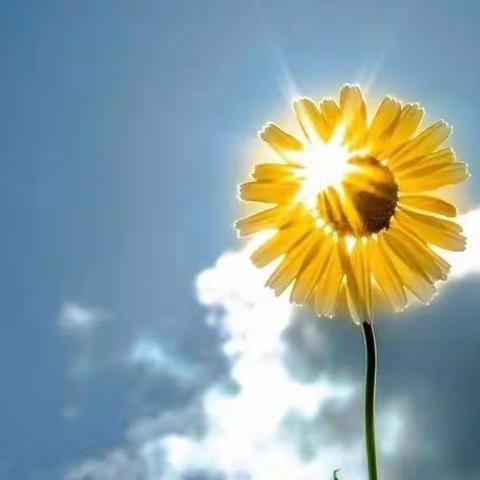 繁华渐开，复学在即，我们在等你—钟山区第五小学复学前心理疏导之学生篇