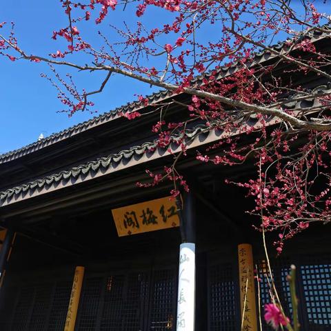 红梅阁