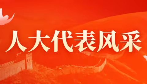 人大代表不缺位，疫情防控显担当