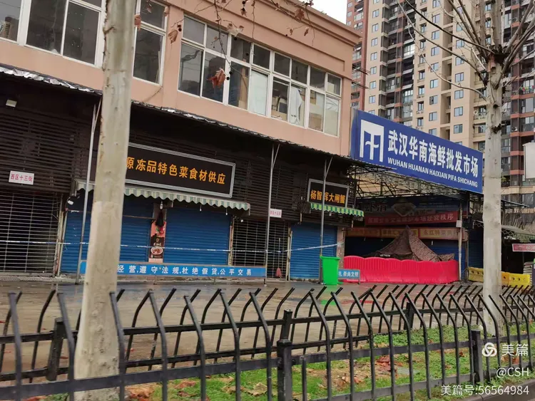  武汉封城时间线(武汉“封城”的历史背景)