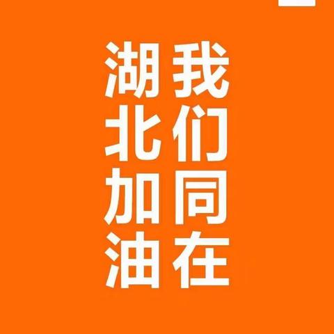 龙华小学二（2）中队为武汉加油！