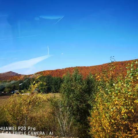 五花山色，国庆自驾阿尔山（三）