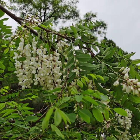 劳动节的收获