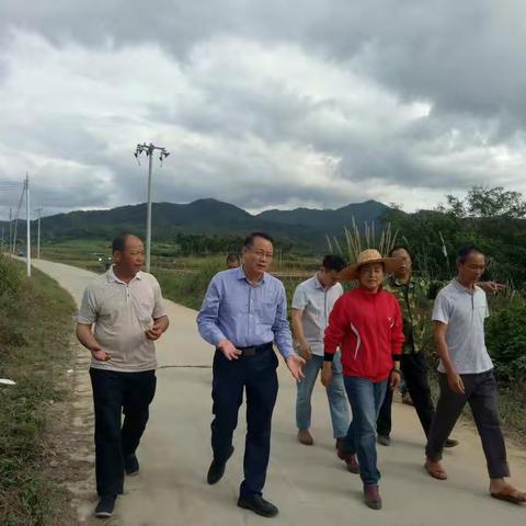 市人大常委会副主任邓清辉到毛路村调研指导脱贫攻坚“创优迎考”工作